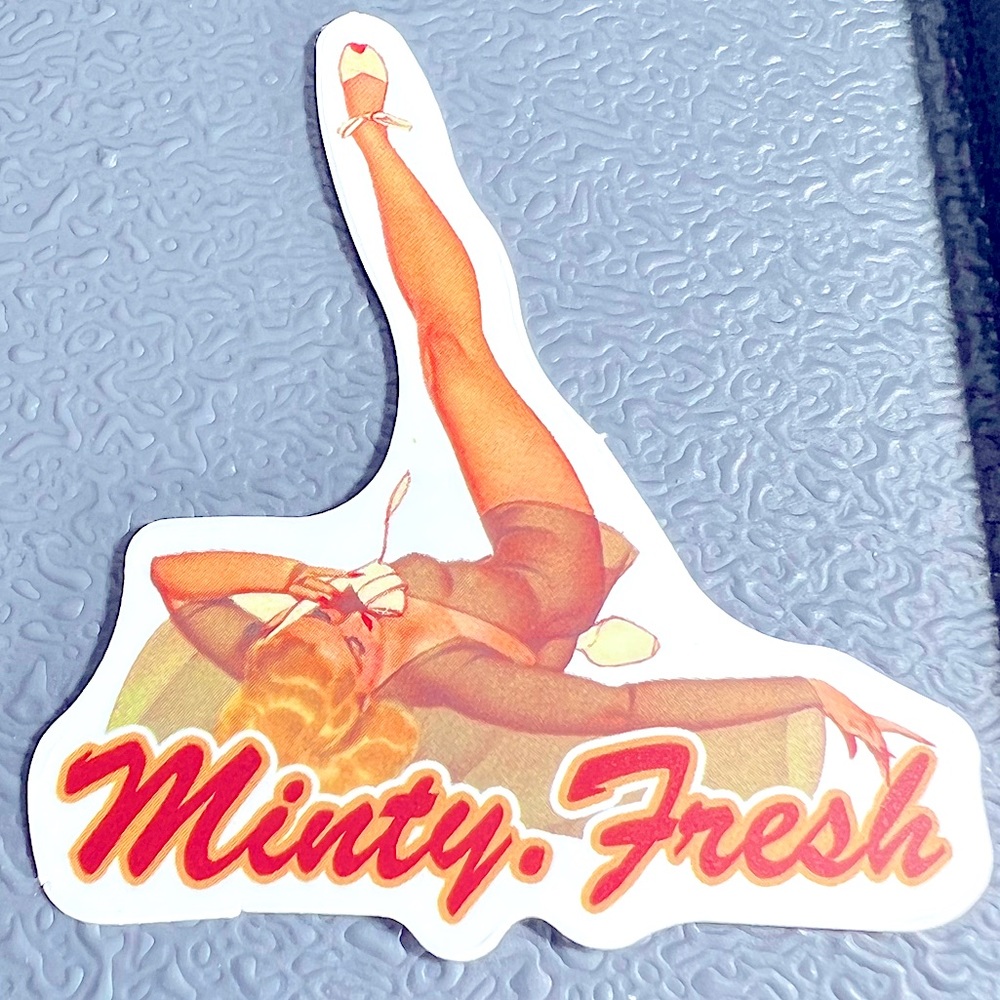 MINTY Sexy Pinup Gorgeous Sticker Retro Vintage BomberGirl Ace Pilot